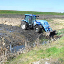 RD 799